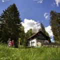 mont-soleil_-4_1_img