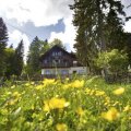 mont-soleil_-7_2_img