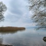 IMG_3718