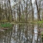 IMG_3726