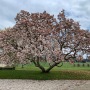 IMG_3729