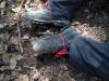 AN-Course_Pompon-2017_0022