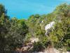 AN-Course_Pompon-2017_0086