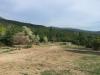 AN-Course_Pompon-2017_0101
