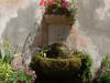 AN-Course_Pompon-2017_0220