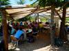 AN-Course_Pompon-2017_0231