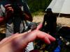 AN-Course_Pompon-2017_0238