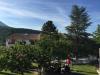 AN-Course_Pompon-2017_0296