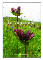 Le Vagabond 200