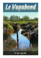 Le Vagabond 219